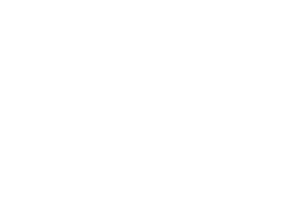 logo Sea sheperd