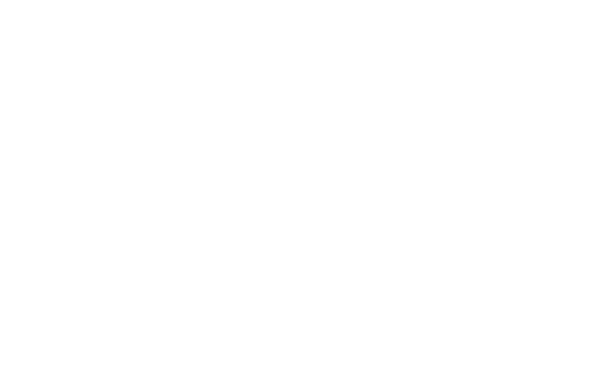 logo The sea cleaners